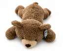 WhatsApp Image 2026-09-03 at 1.50.50 PM.webp