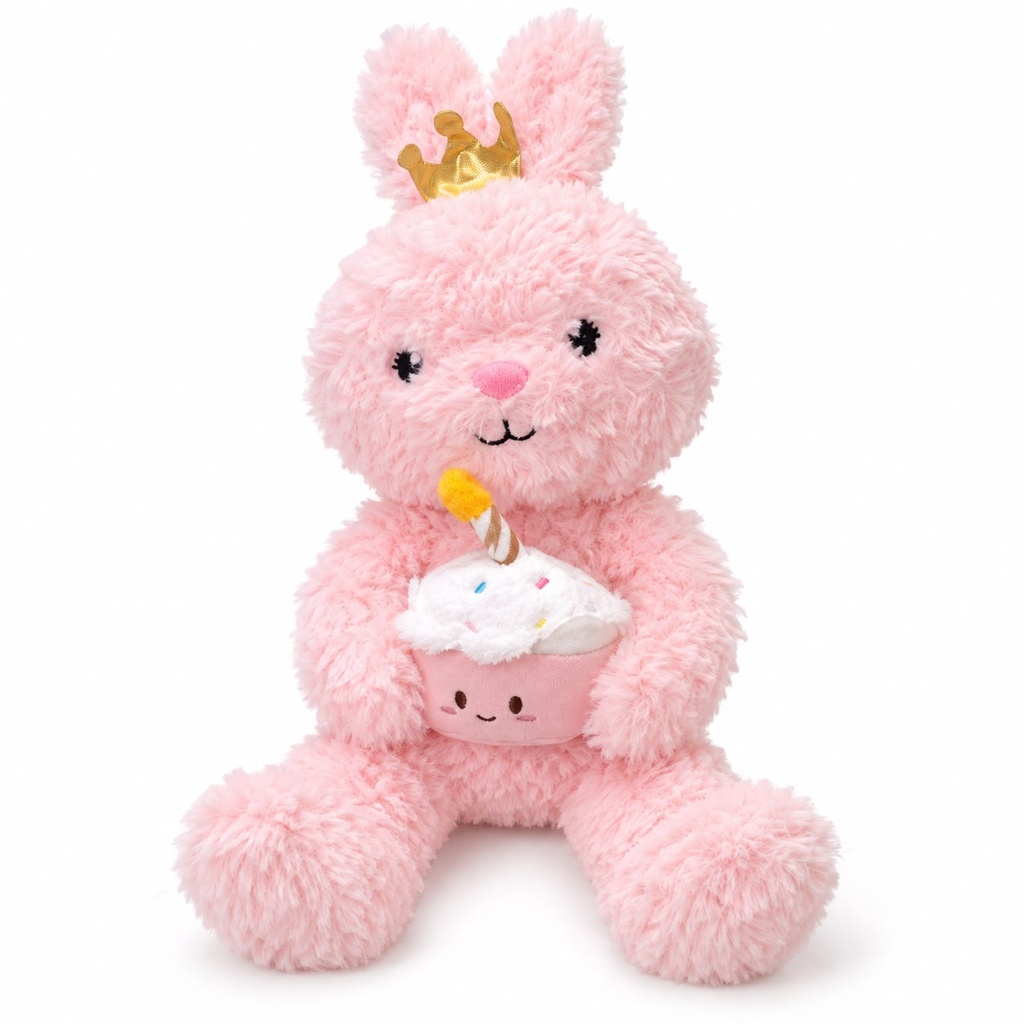 BIRTHDAY PLUSH TOYS